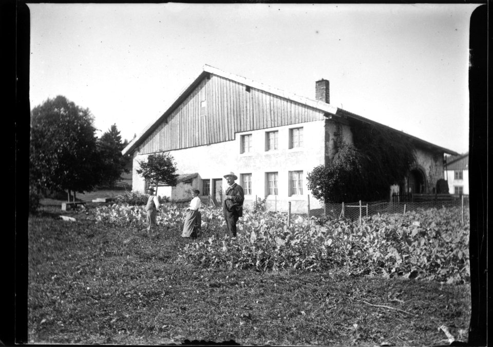 ArCJ - Maison - 137 J 2701 a