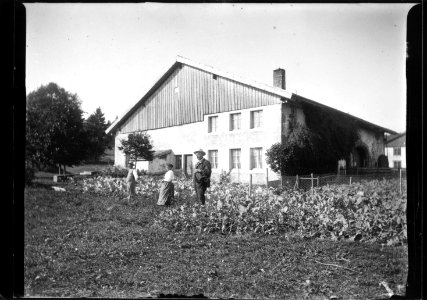 ArCJ - Maison - 137 J 2701 a