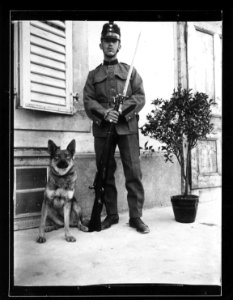 ArCJ - Militaire, chien - 137 J 1042 a