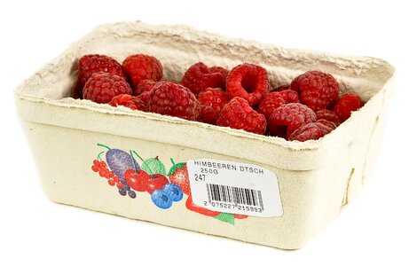 Fruit berry raspberry photo
