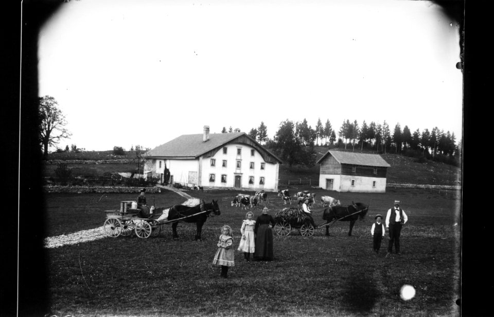 ArCJ - NE-La Chaux-de-Fonds, Le Valanvron, Le Bas des Brandt, attelages - 137 J 1784 b
