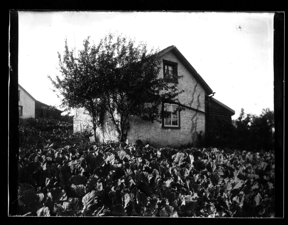 ArCJ - Maison - 137 J 589 a