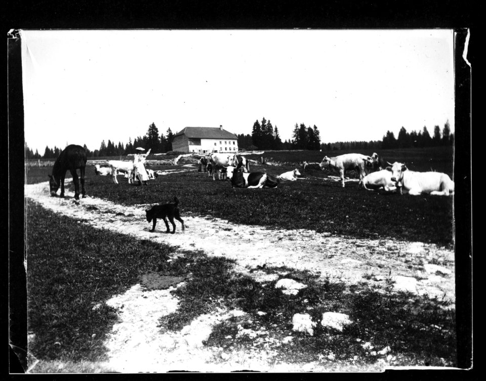 ArCJ - Paysage - 137 J 2042 a