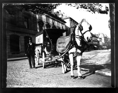 ArCJ - NE-La Chaux-de-Fonds, Cheval - 137 J 2232 a