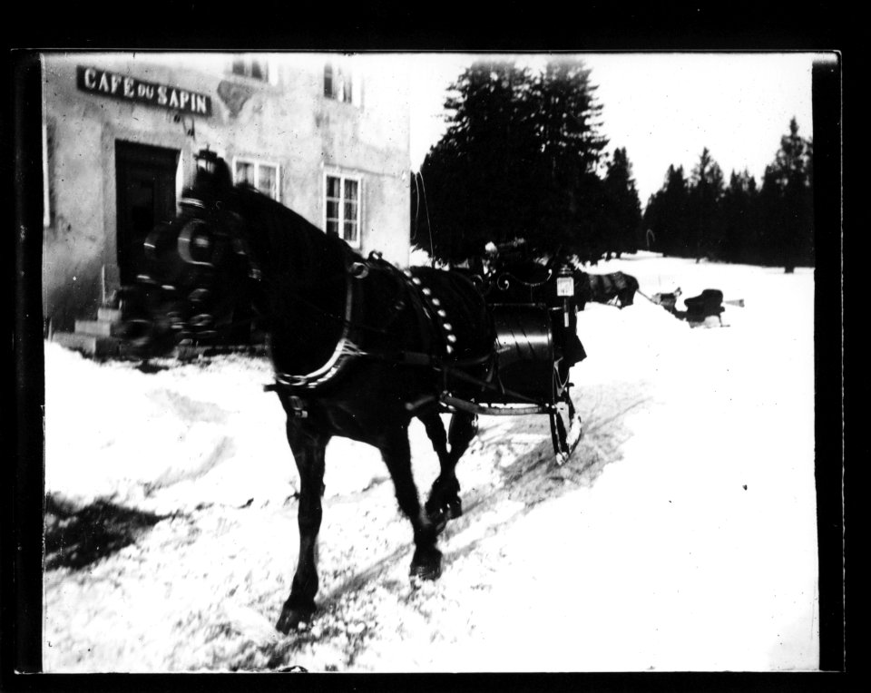ArCJ - Muriaux, Le Cerneux Veusil, Cheval - 137 J 3090 a