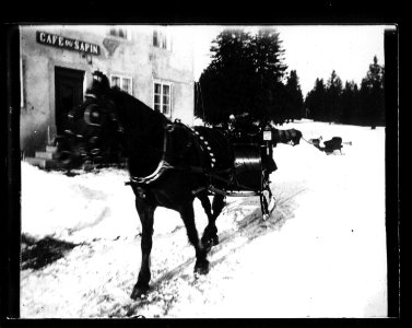 ArCJ - Muriaux, Le Cerneux Veusil, Cheval - 137 J 3090 a