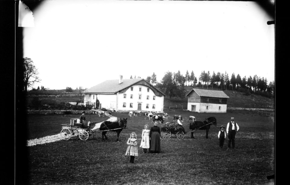 ArCJ - NE-La Chaux-de-Fonds, Le Valanvron, Le Bas des Brandt, attelages - 137 J 1790 b