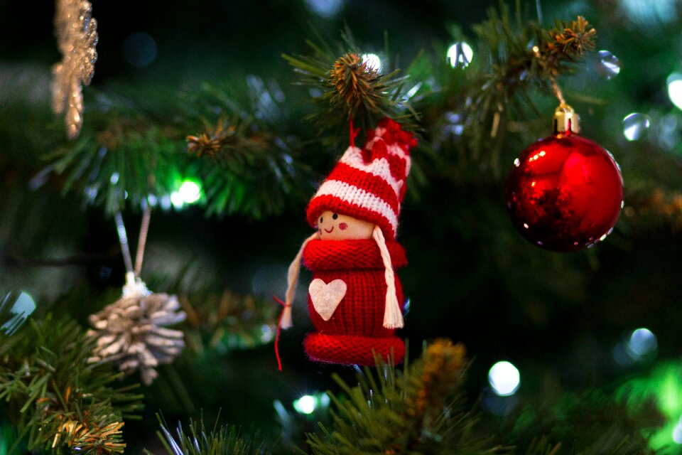 Celebrate celebration christmas