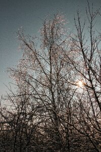 Heat mood backlighting