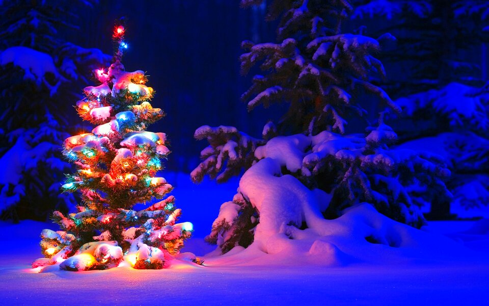 Light frost blue light