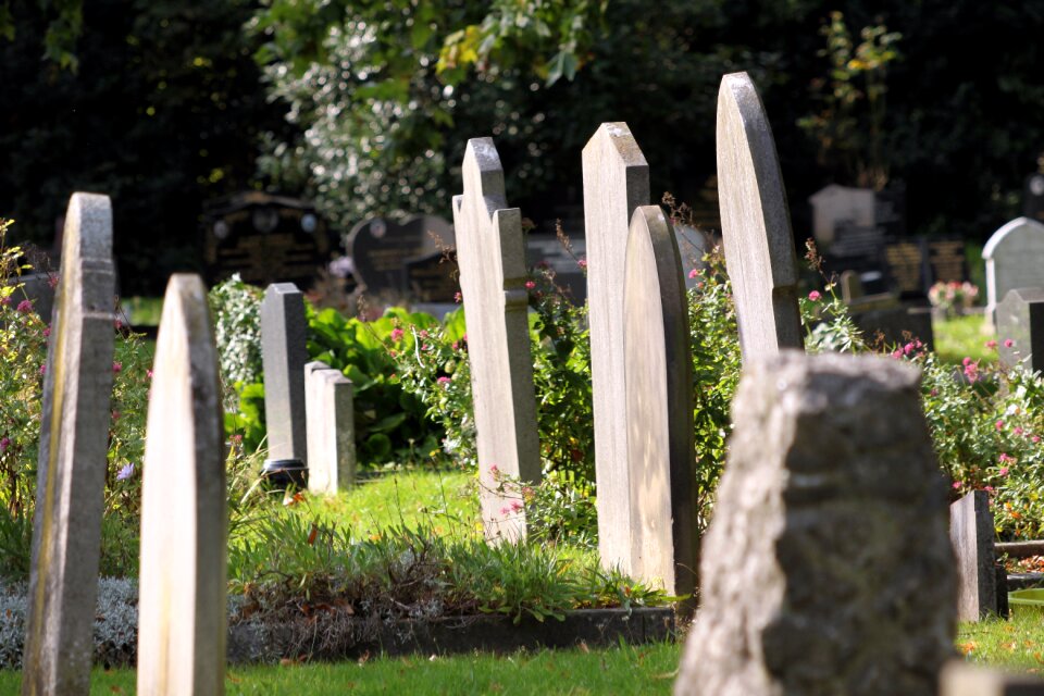 Cemetery grave tomb photo