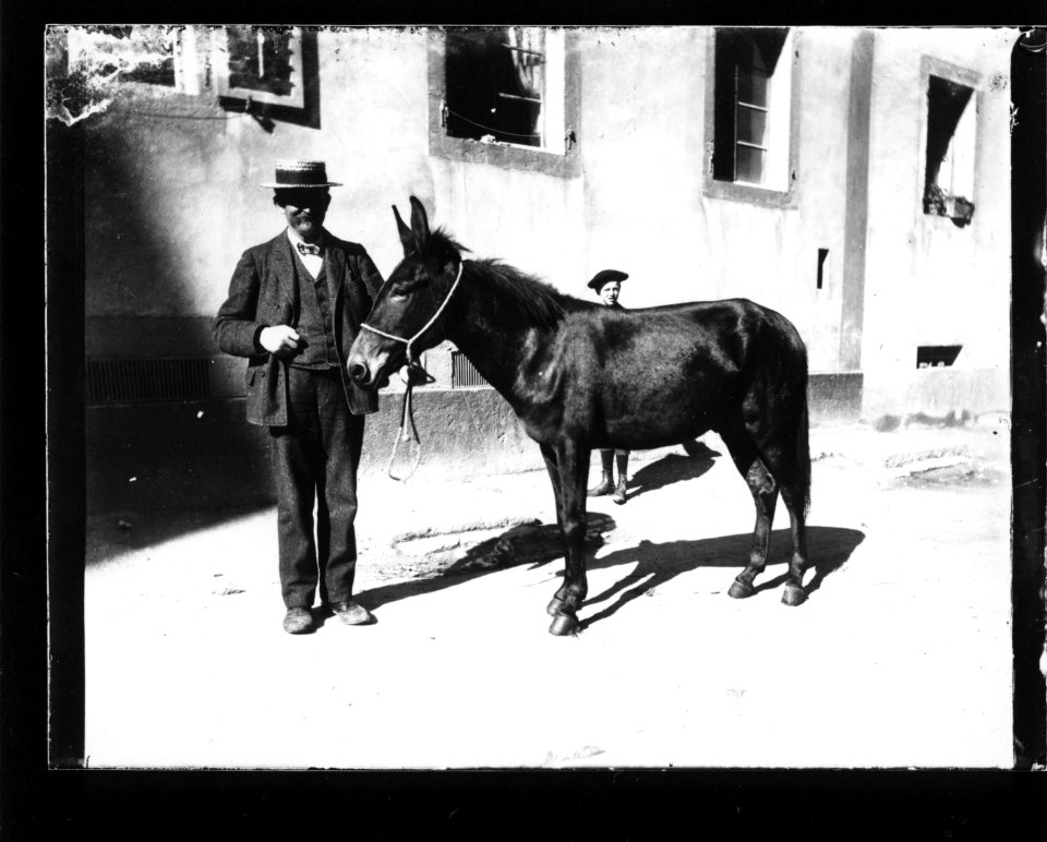 ArCJ - Portrait, homme - 137 J 2269 a