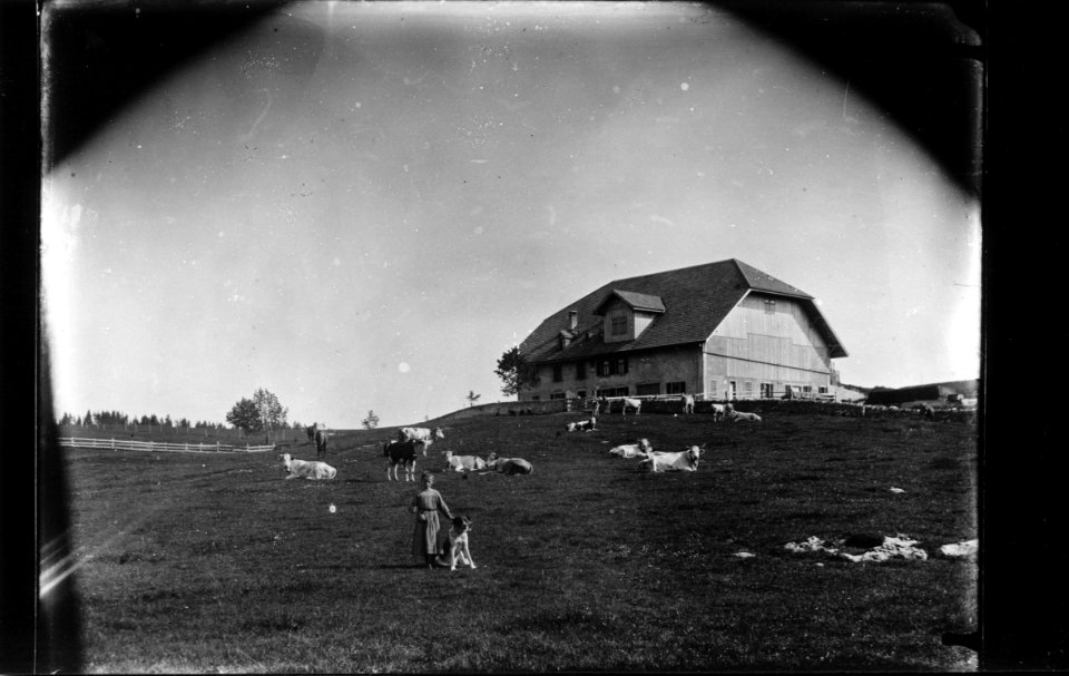ArCJ - Sonvilier, Mont-Soleil, Maison - 137 J 1329 b