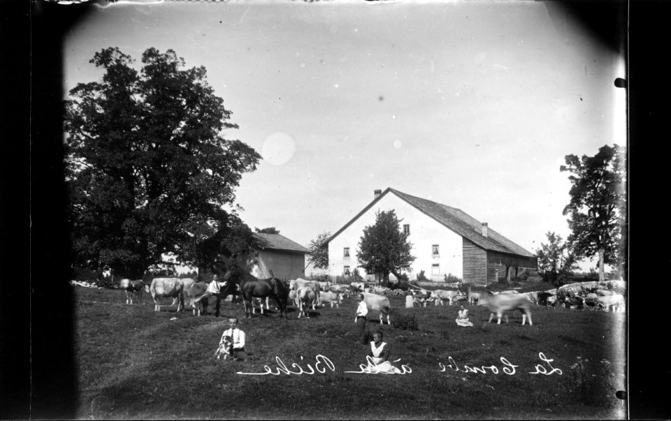 ArCJ - Saint-Imier, La Combe à la Biche, Maison - 137 J 1259 b