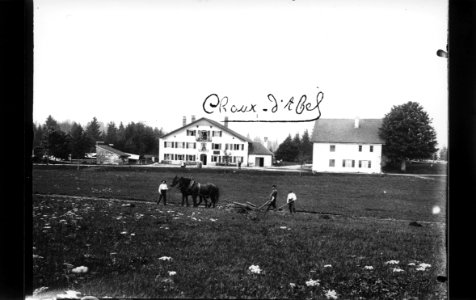 ArCJ - Sonvilier, La Chaux d'Abel, Chez Brechbühler, Deux maisons - 137 J 1308 b