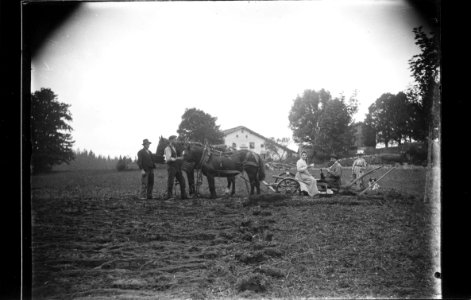 ArCJ - Sonvilier, La Chaux d'Abel, Maison - 137 J 265 b