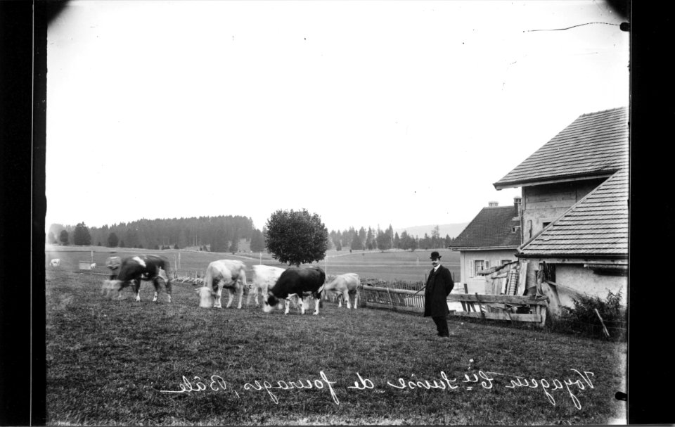 ArCJ - Voyageur de la Compagnie suisse de fourrages, Bâle - 137 J 19 b