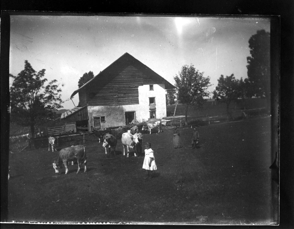 ArCJ - Sonvilier, Mont-Soleil, Ferme de La Biche - 137 J 740 a