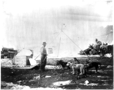 Arctic Expedition. Greenland, 1881-82. Schnerder hauling ice with dog team. LCCN2016653140