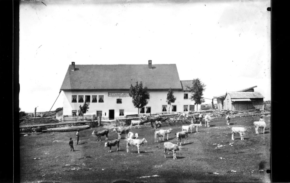 ArCJ - Sonvilier, La Chaux d'Abel, Restaurant du Droit - 137 J 275 b
