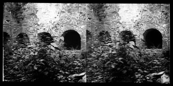 Arcs d'un claustre ple d'herba a la Pobla de Lillet (AFCEC BORDAS X 314)