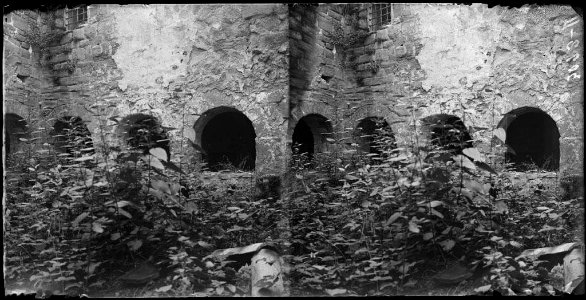 Arcs d'un claustre ple d'herba a la Pobla de Lillet
