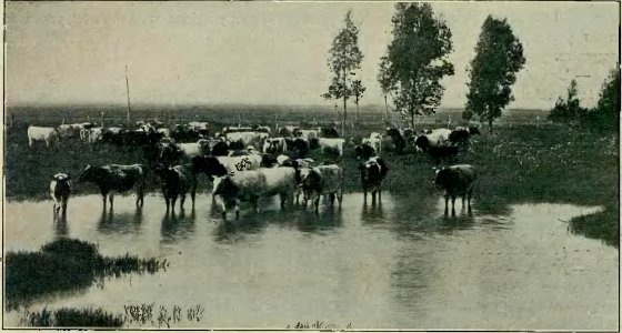 Argentina y sus grandezas (Vicente Blasco Ibáñez) (page 32 crop)
