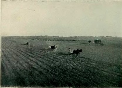 Argentina y sus grandezas (Vicente Blasco Ibáñez) (page 30 crop)