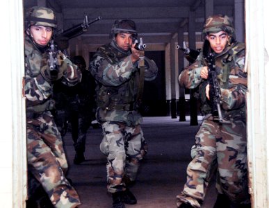 Argentine naval infantry exercise