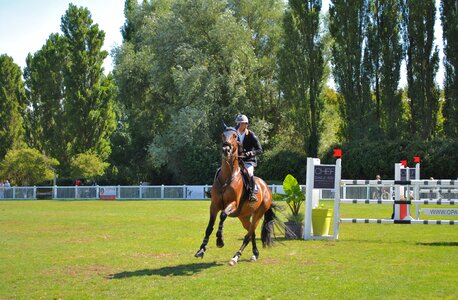Races france weekend