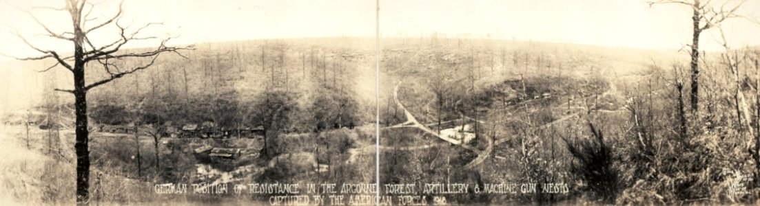 Argonne forest 1918