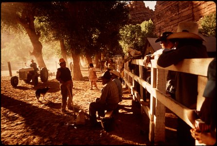 Arizona - Supai (4269089846)