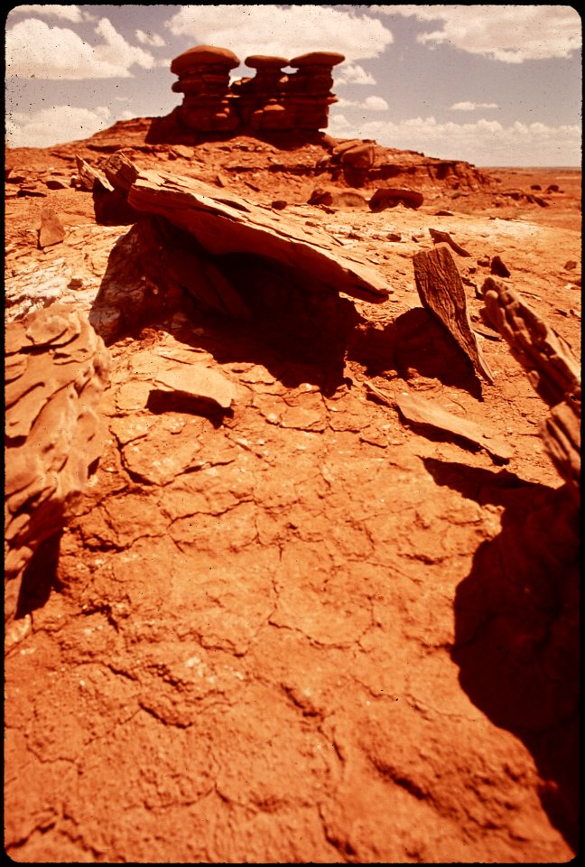 Arizona (4266507078)