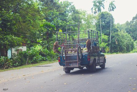 Speed distances vehicle