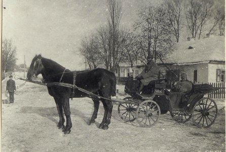 Armee San.Chef O.St.A.Dr.Hlacik Luck. (BildID 15690775)