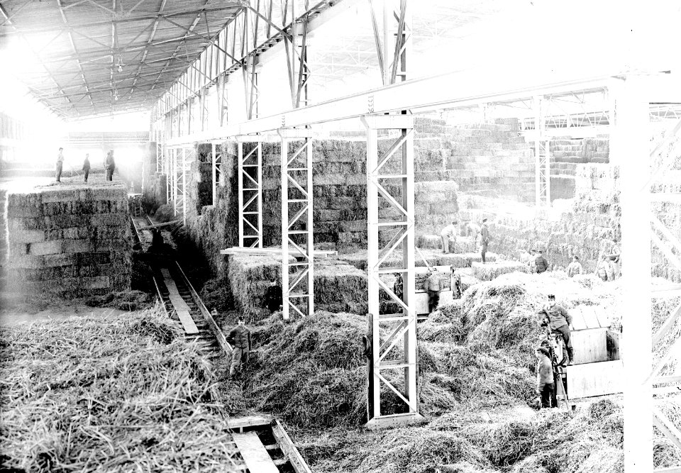 Armeestrohlager Maschinenhalle Landesausstellung - CH-BAR - 3238119