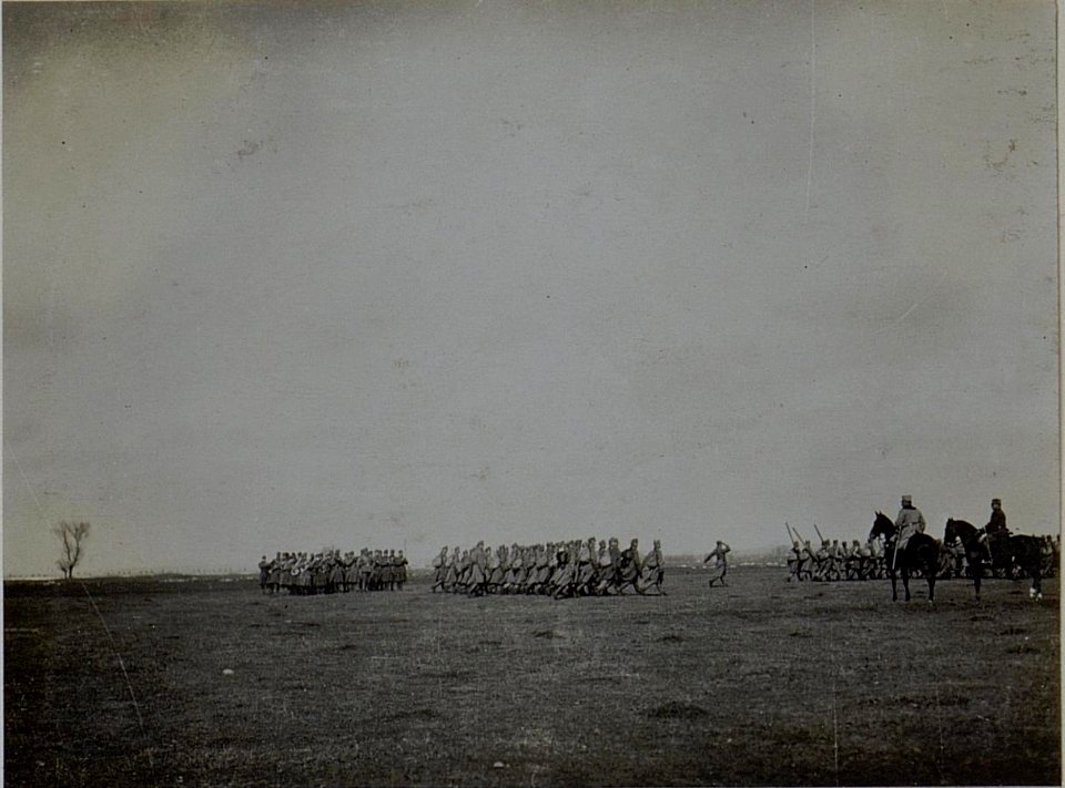 Armee Kommdt.Pflanzer Baltin inspiziert d.IR.16.Alt.Zucska. (BildID 15451573)