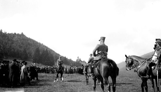 Armee und Div Kdo mit Gästen vor dem Defilee - CH-BAR - 3237186