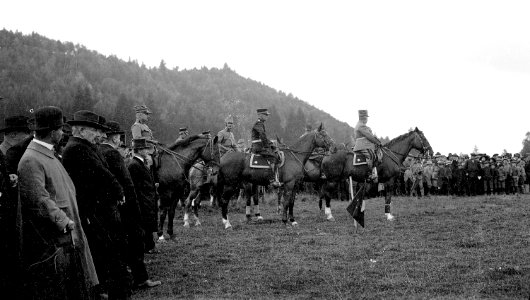 Armee und Div Kdo mit Gästen vor dem Defilee - CH-BAR - 3237187