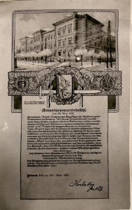 Armeekommandobefehl für Herrn Pokorn. gezeichnet v.Lt.Franz Gaal. (7-6.1917.) (BildID 15798999)