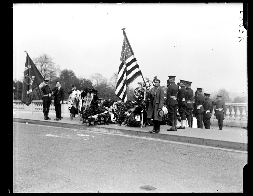 Armistice Day at Arlington Cemetery LCCN2016891808