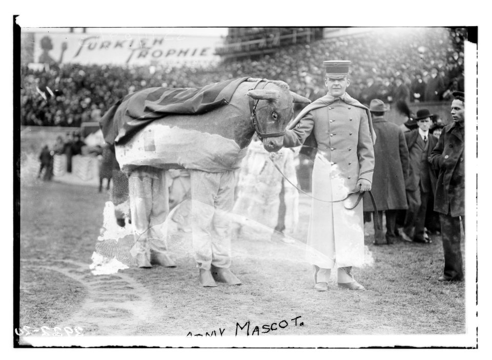 Army mascot LCCN2014694916