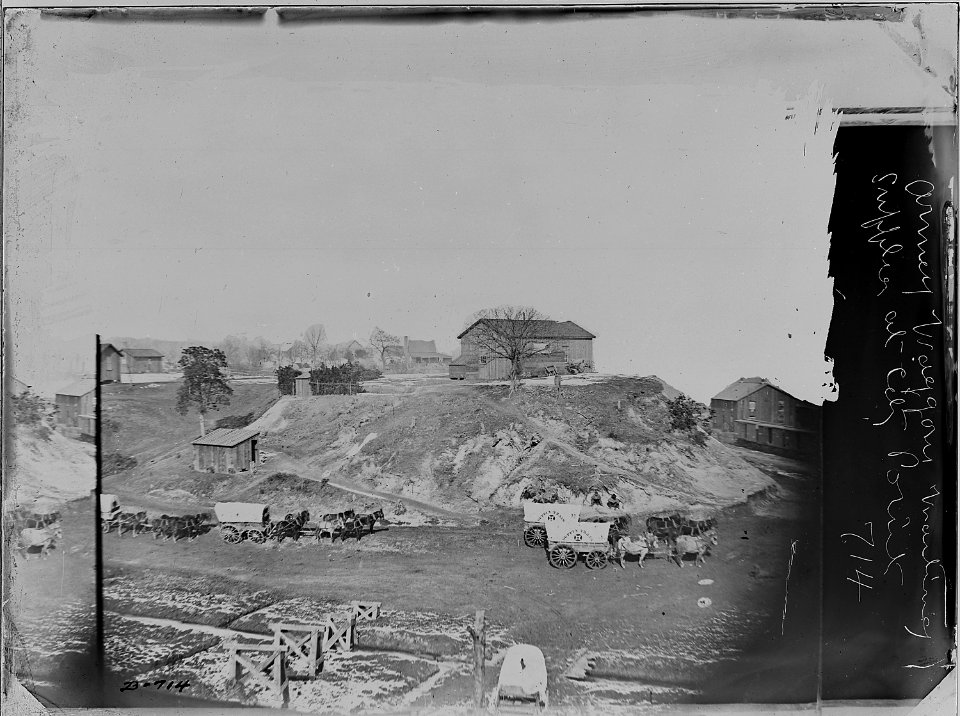 Army Wagons waiting for supplies at City Point, Va - NARA - 525119