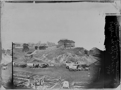 Army Wagons waiting for supplies at City Point, Va - NARA - 525119