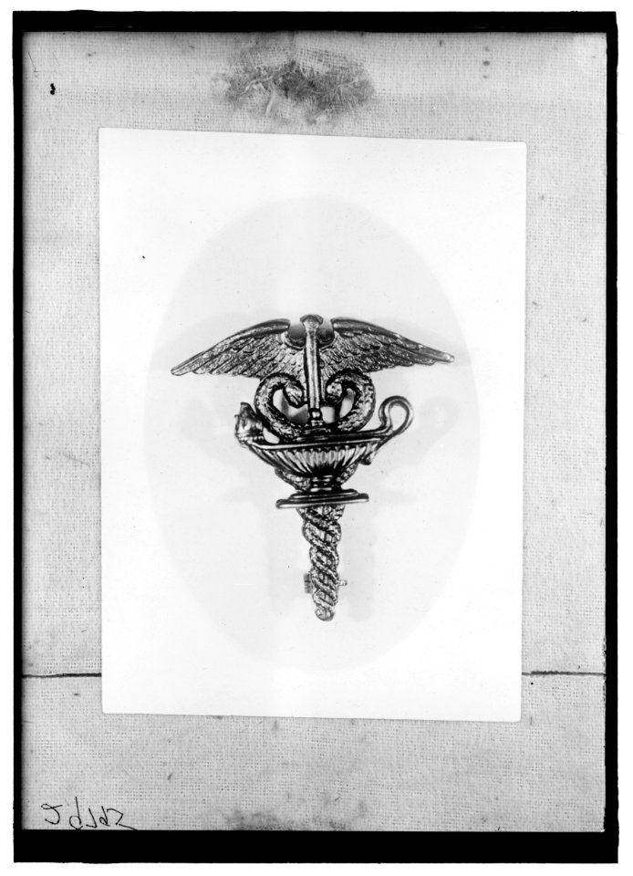Army School of Nursing insignia with a gilt lamp LOC hec.11508