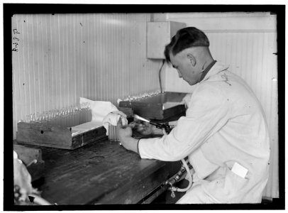 ARMY, U.S. ARMY MEDICAL SCHOOL; TYPHOID VACCINE LCCN2016868647