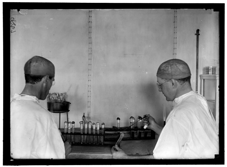ARMY, U.S. ARMY MEDICAL SCHOOL; TYPHOID VACCINE LCCN2016868646