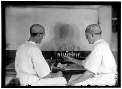 ARMY, U.S. ARMY MEDICAL SCHOOL; TYPHOID VACCINE LCCN2016868640