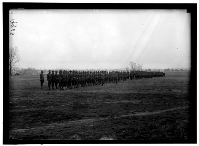 ARMY, U.S. NEGRO TROOPS LCCN2016868668