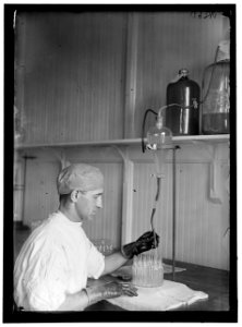 ARMY, U.S. ARMY MEDICAL SCHOOL; TYPHOID VACCINE LCCN2016868639